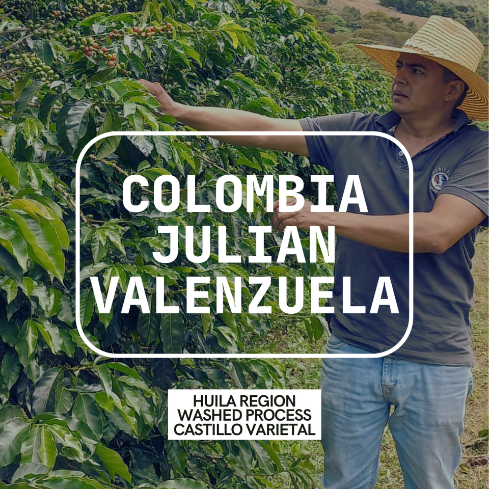 Colombia Julian Vlenzuela - Single Origin